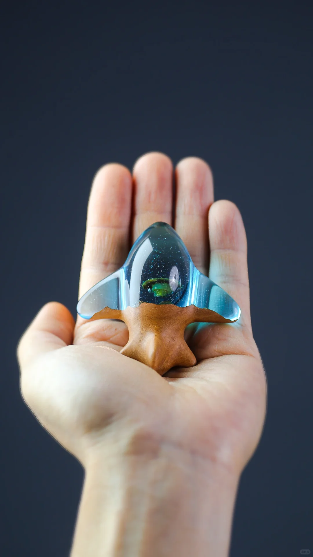 未来梦幻小飞机封存脐带胎发