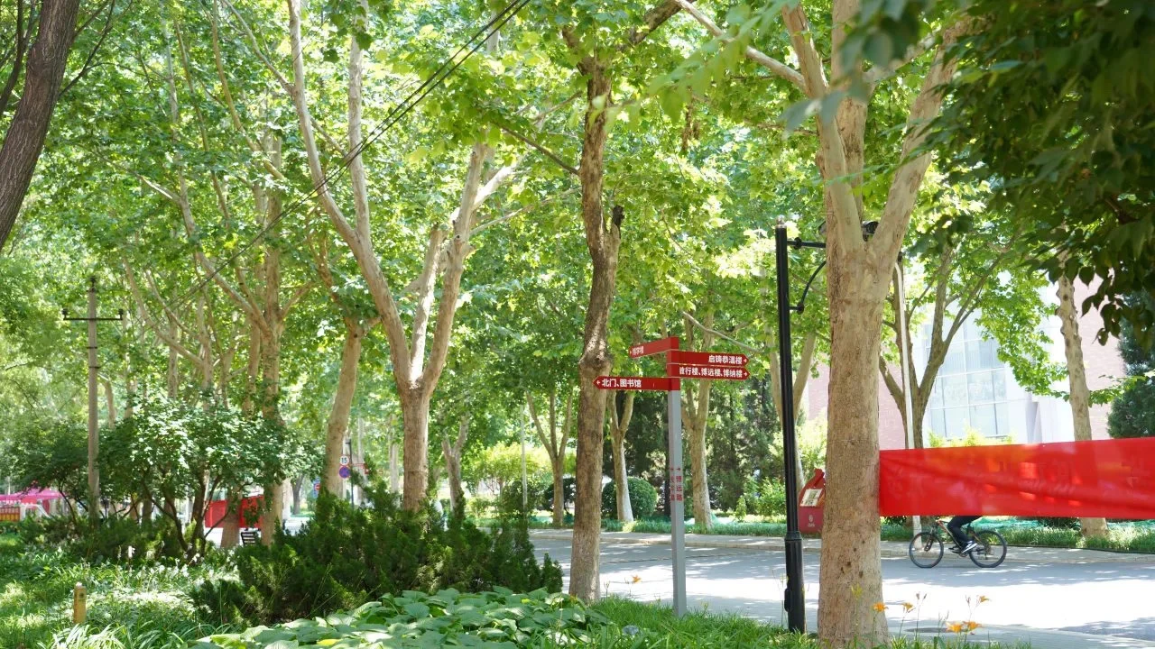 开学体检 到底都有哪些项目呢？