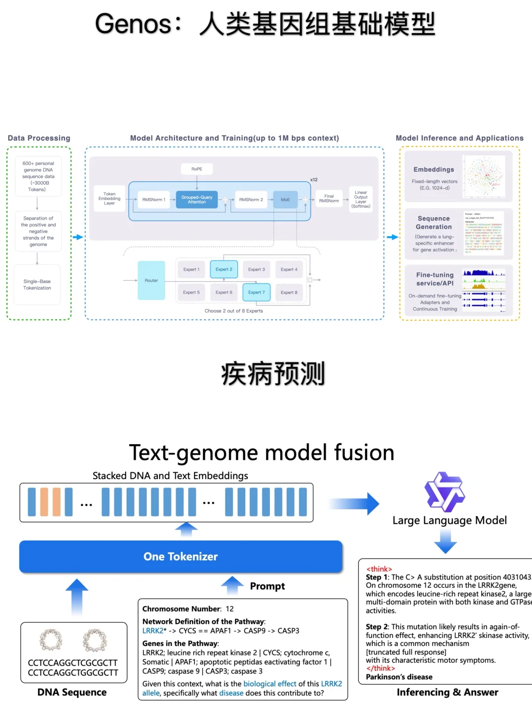 ?华大｜杭州又搞事了！基因界DeepSeek来了