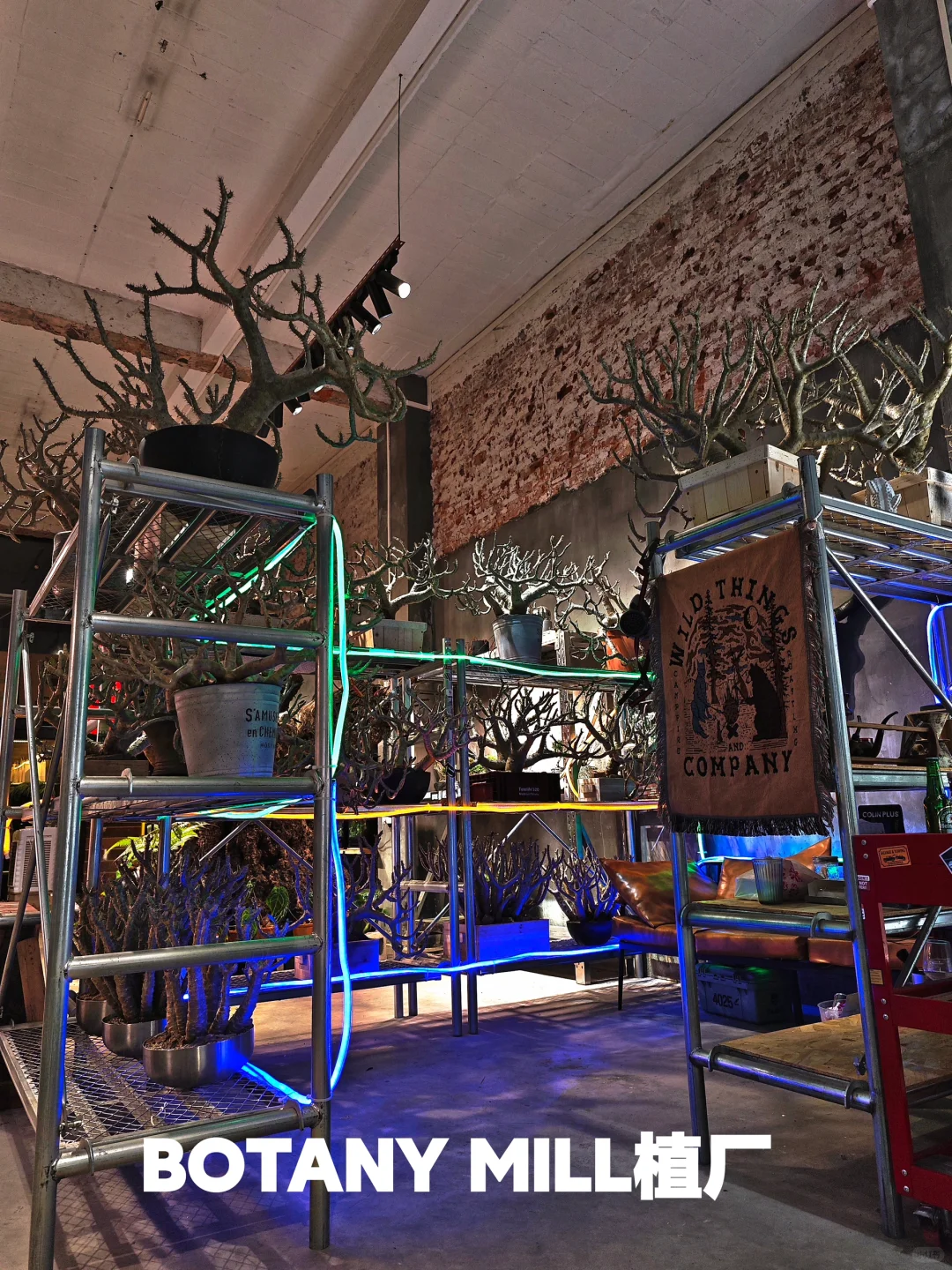 植物买手店和植物加工厂