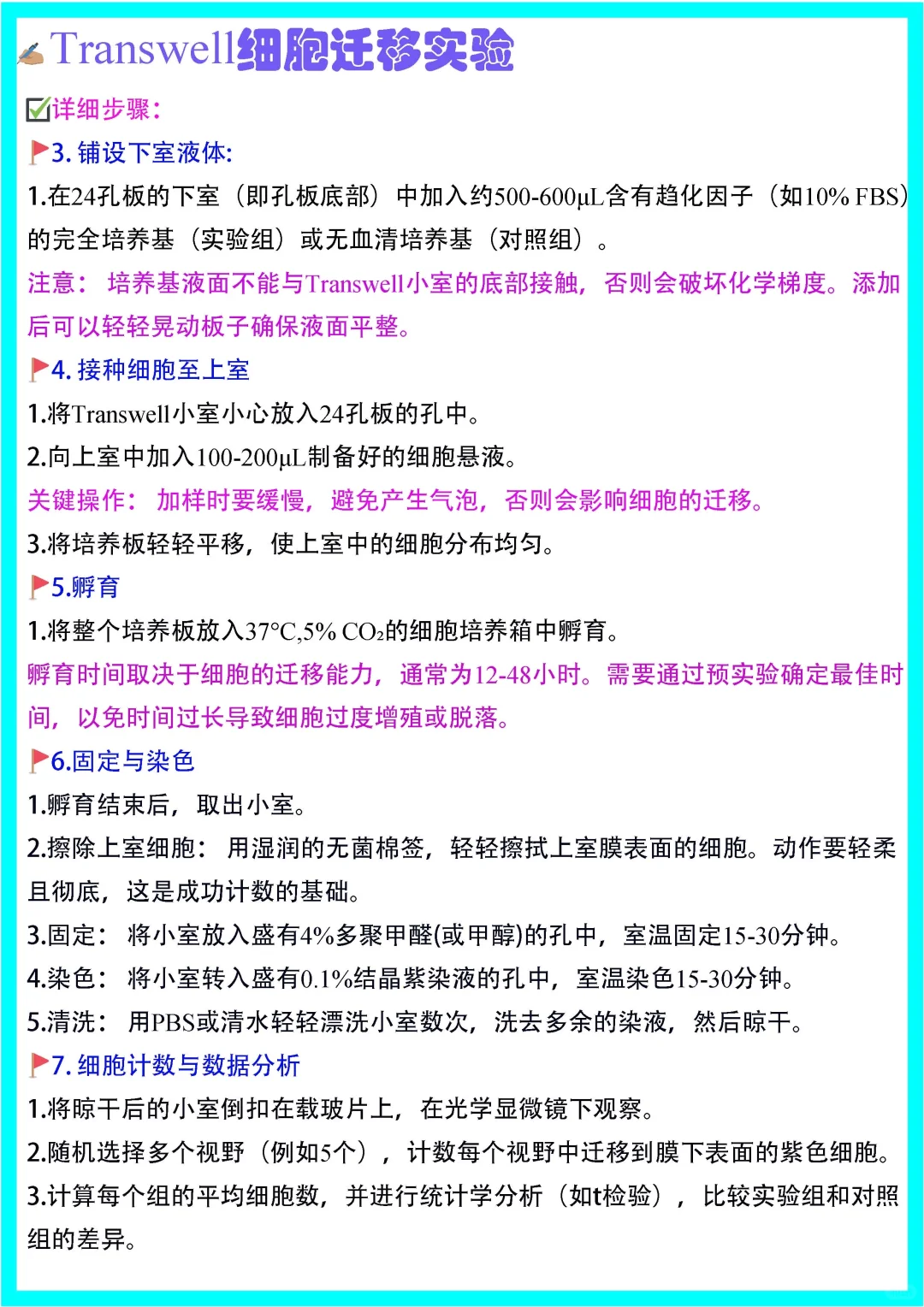 木南笔记?｜Transwell细胞迁移实验