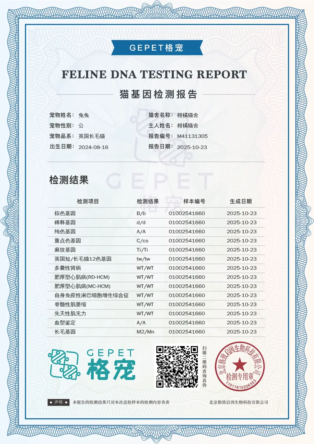 给我的猫咪做完基因检测