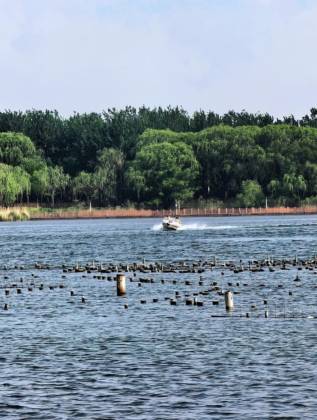 生态环境修复典范