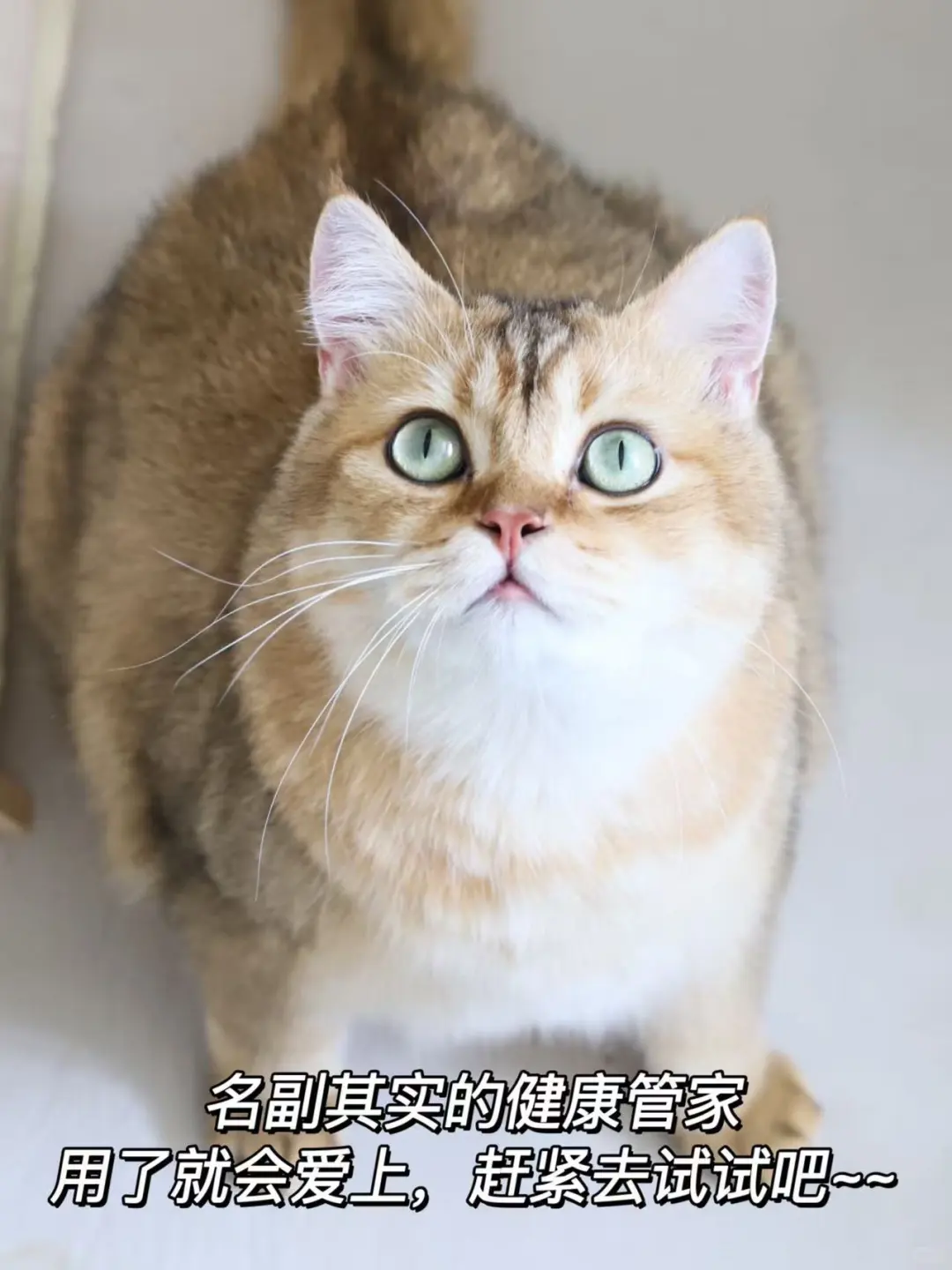 健康管理小助手，用过就离不开了