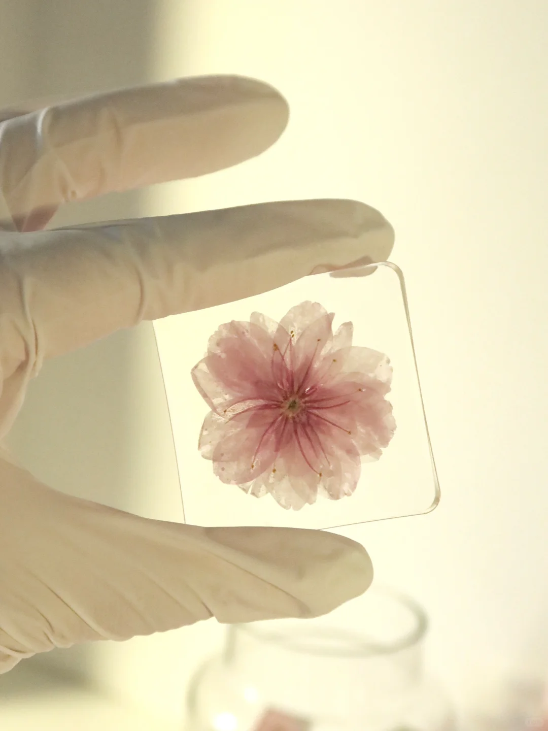 “滴胶樱花”?「留住春天」