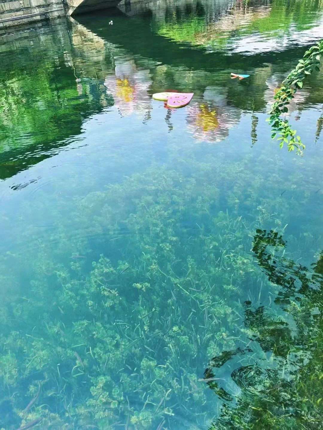 live｜无滤镜江南果冻河，有“科技”也有狠活！