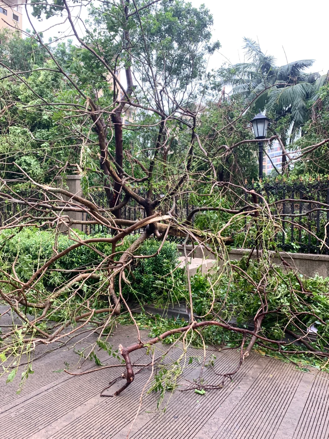 台风“摩羯”后的家?｜断桥铝门窗的重要性