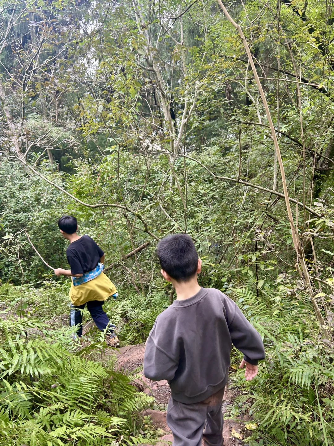 去见⛰️2025年10月26日 金堂梨花沟