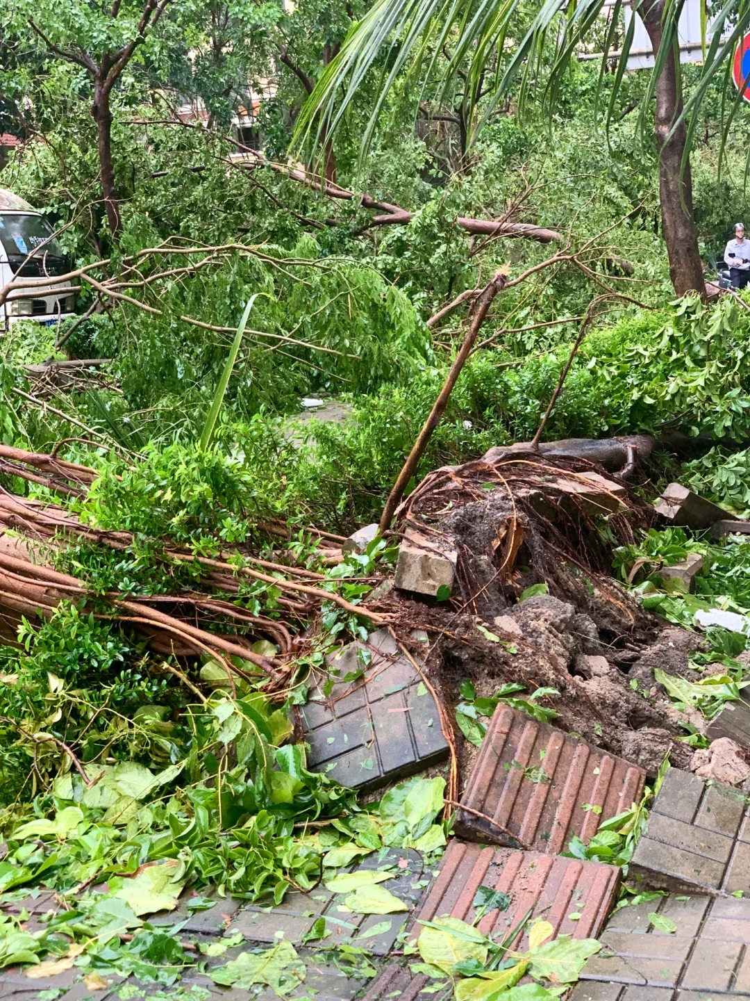 台风“摩羯”后的家?｜断桥铝门窗的重要性