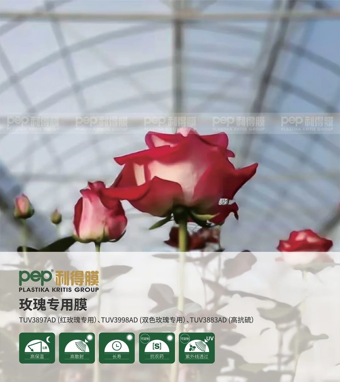 温室大棚膜知多少