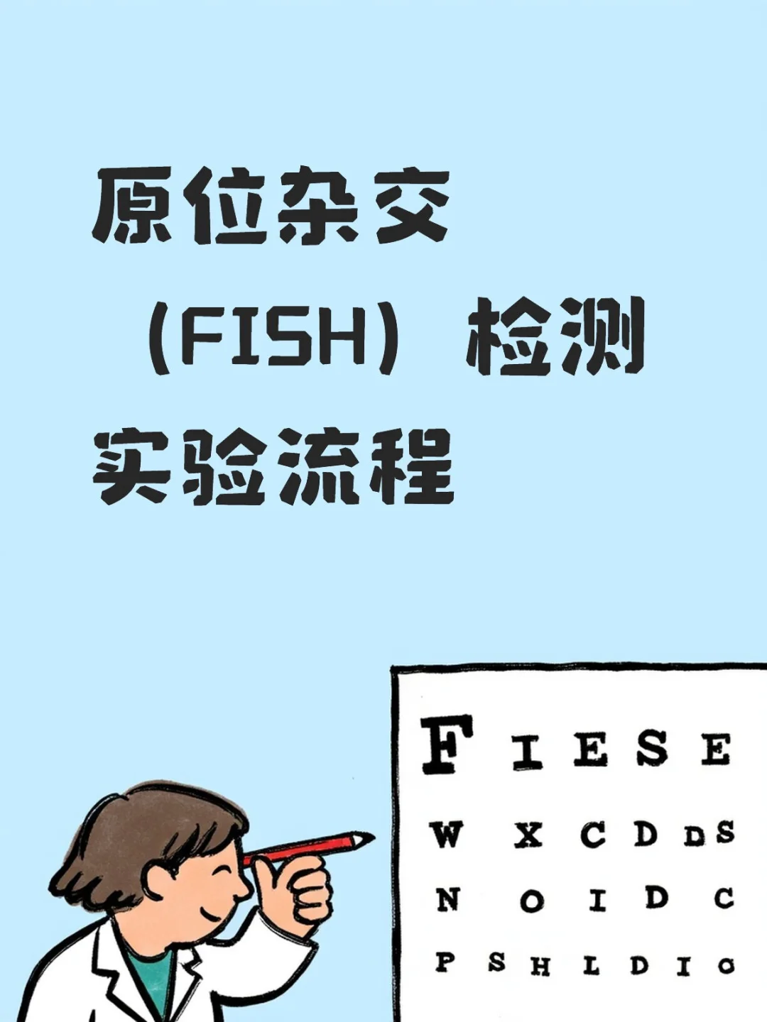 原位杂交（FISH）检测实验流程