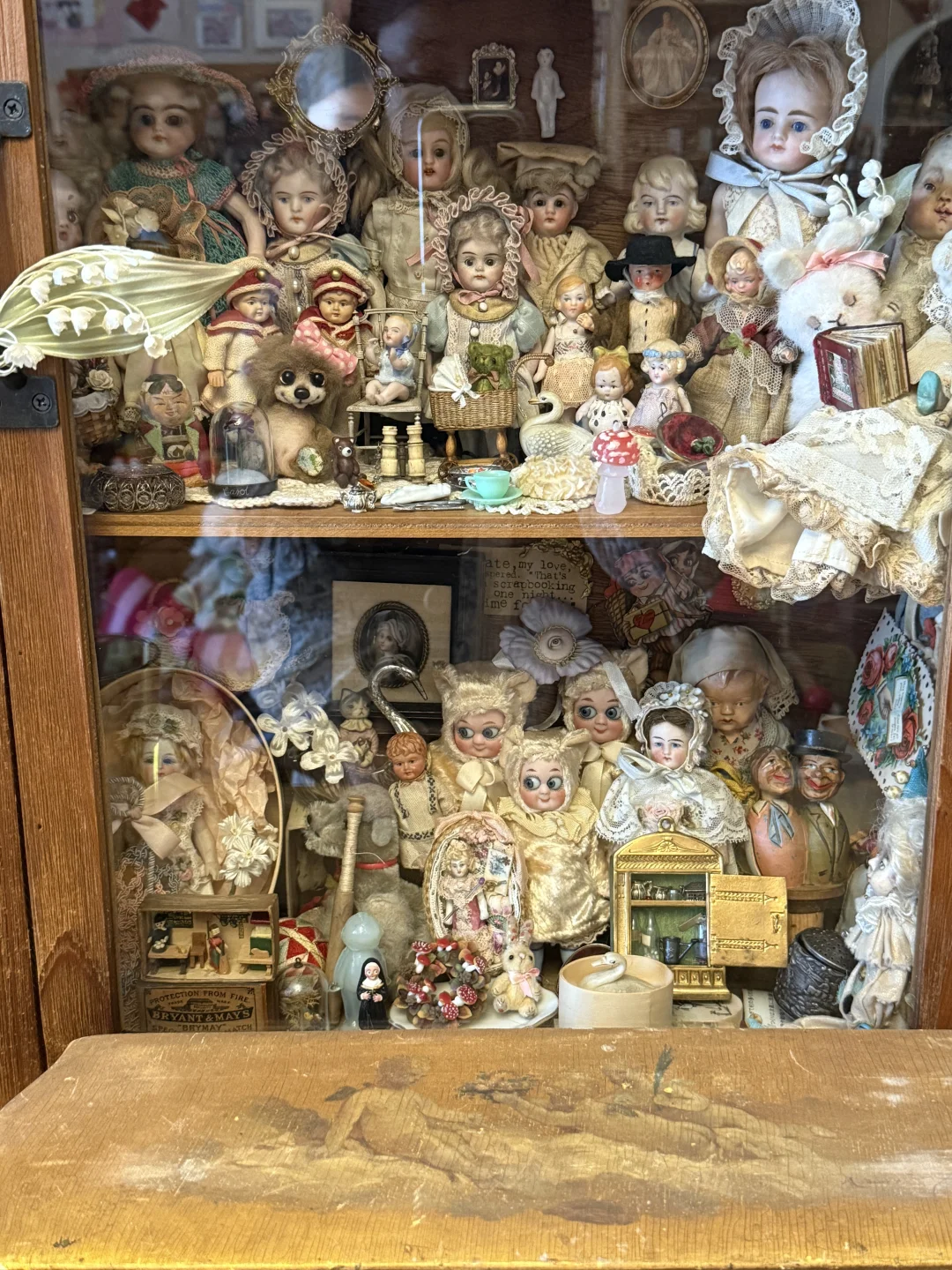 ?珍奇屋｜我家奇奇怪怪的玩物收藏?