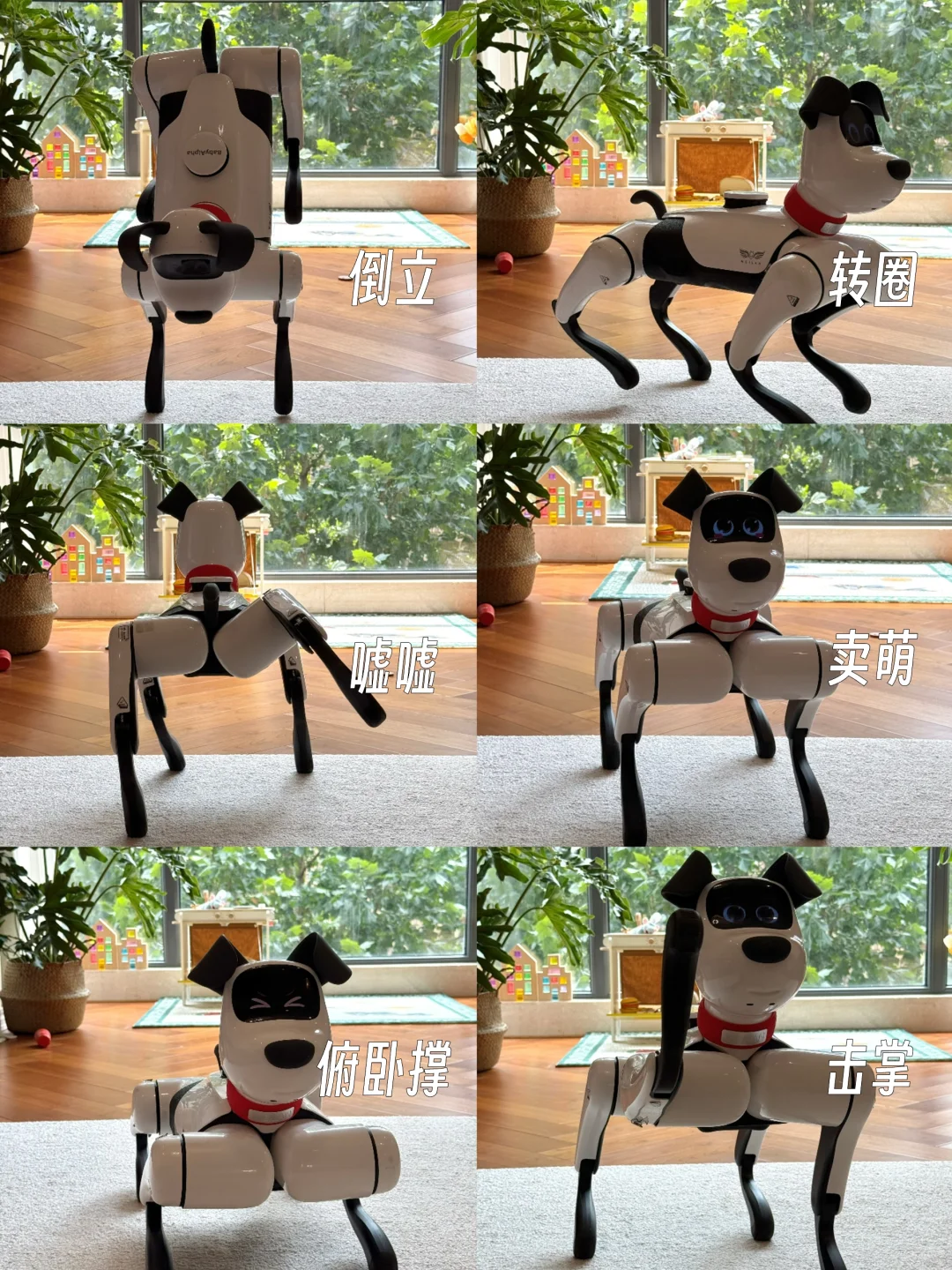 没有二胎但有小狗?恭喜女儿过上梦想童年!