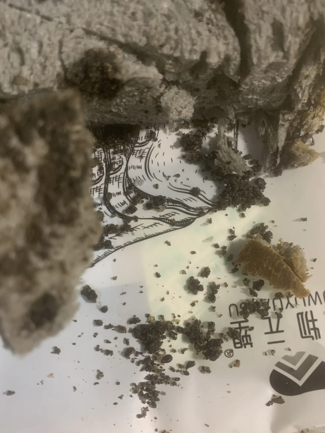 谷物元素拔草(无广)