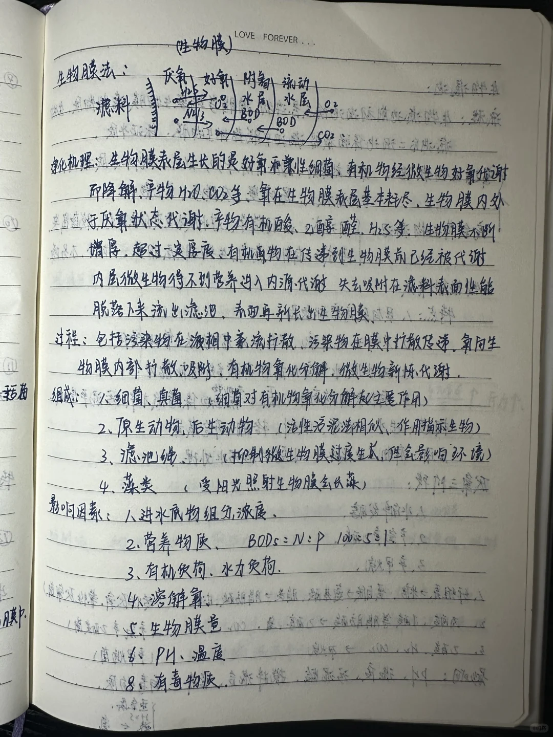 水污染控制工程（2）