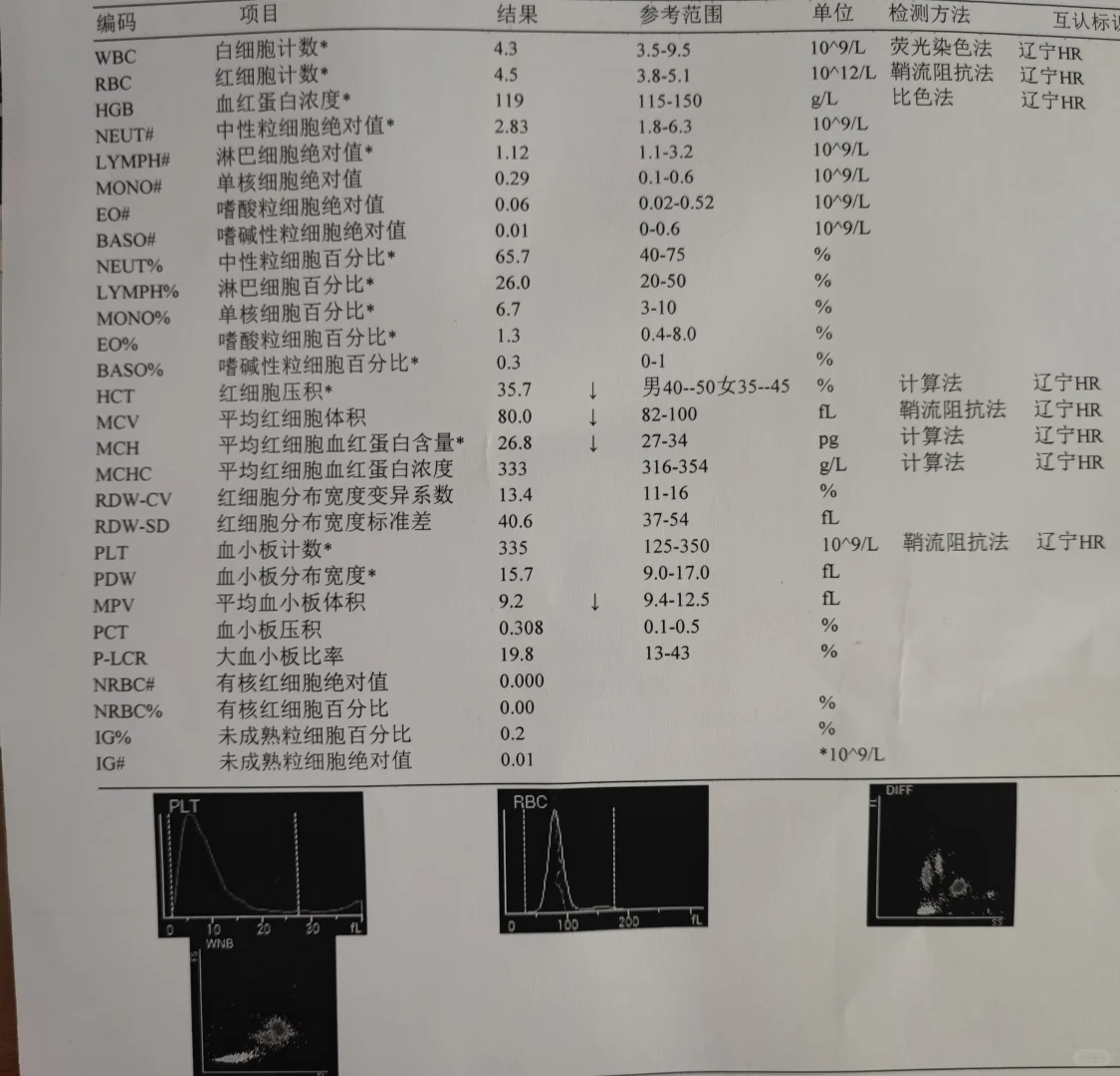 抗核日记第211天