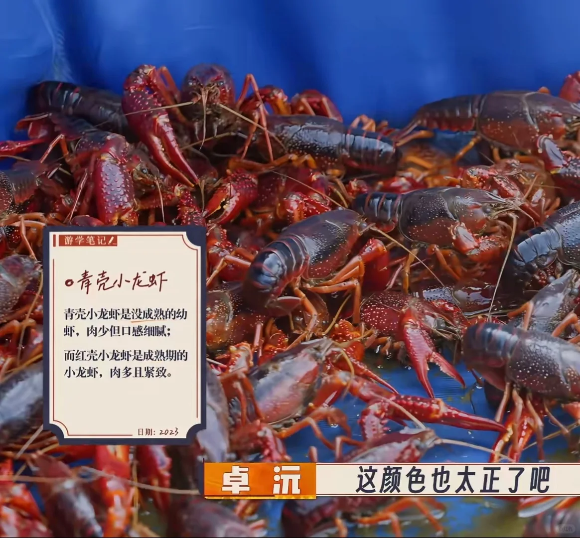 种地吧游学季素材积累——盱眙龙虾