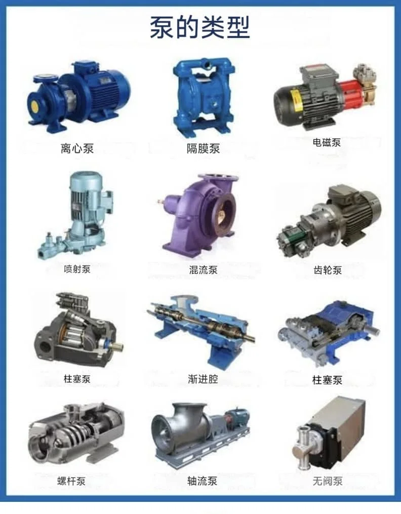 泵的类型