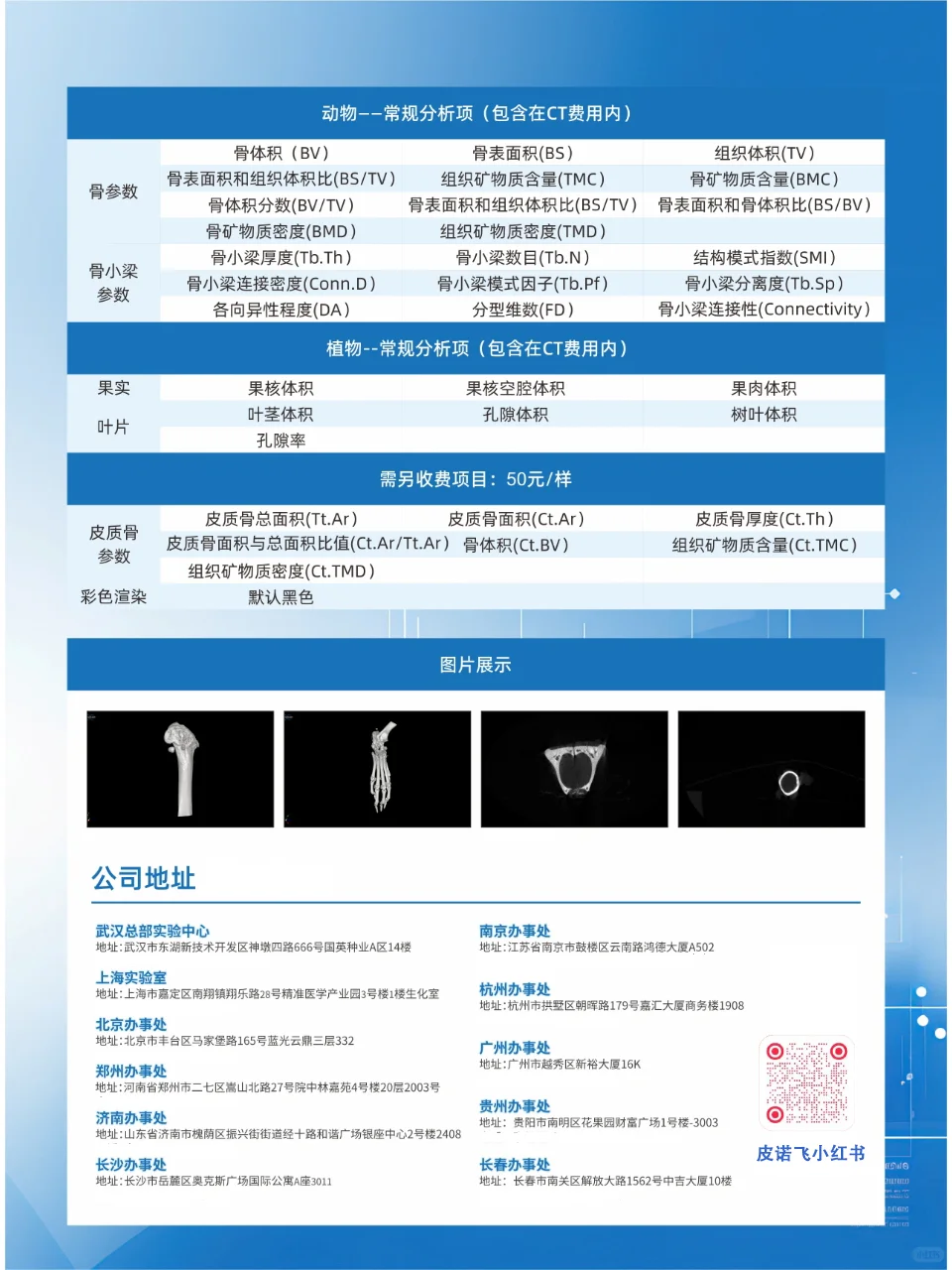 动物模型实验外包-高分辨快速活体microCT