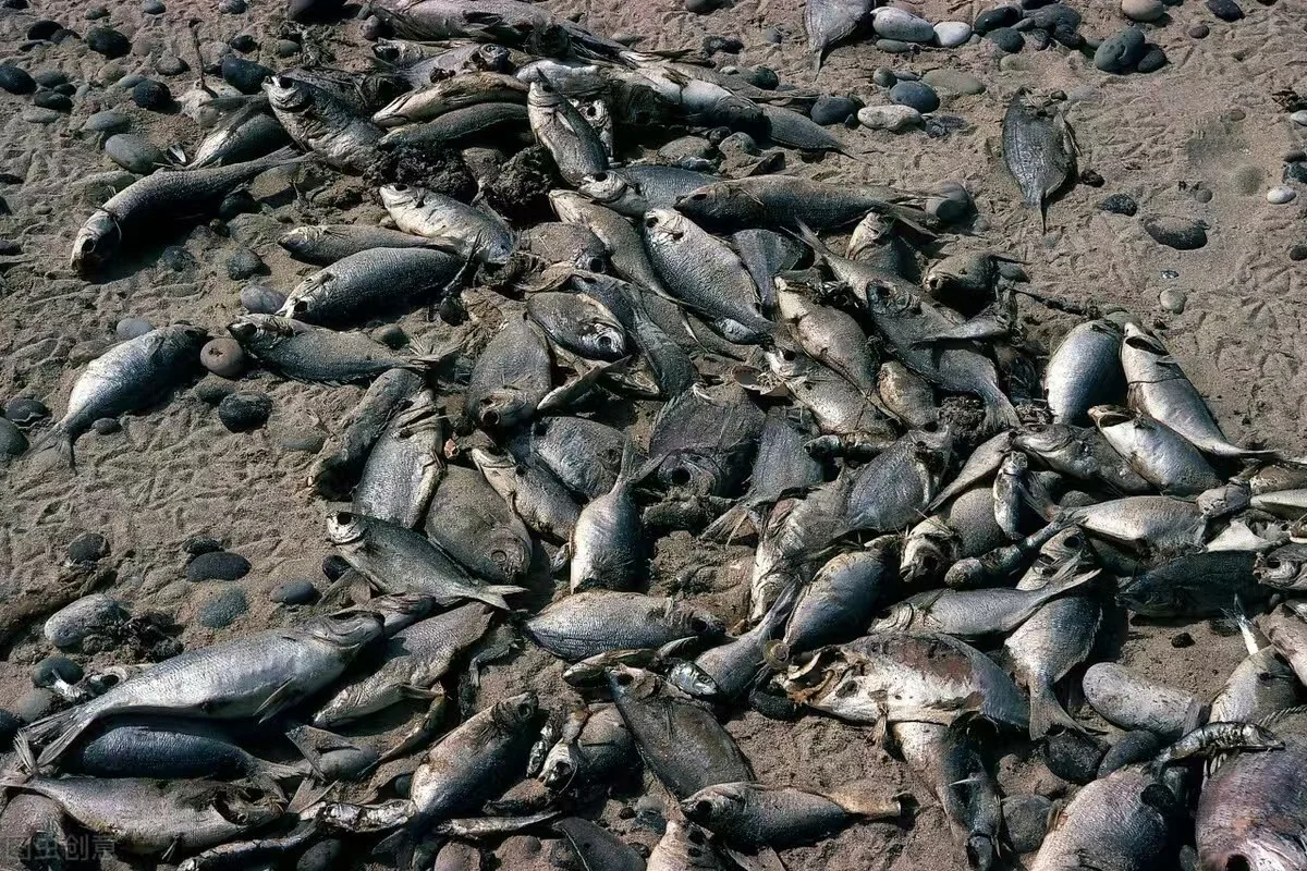 污水之变：开启生态新征程