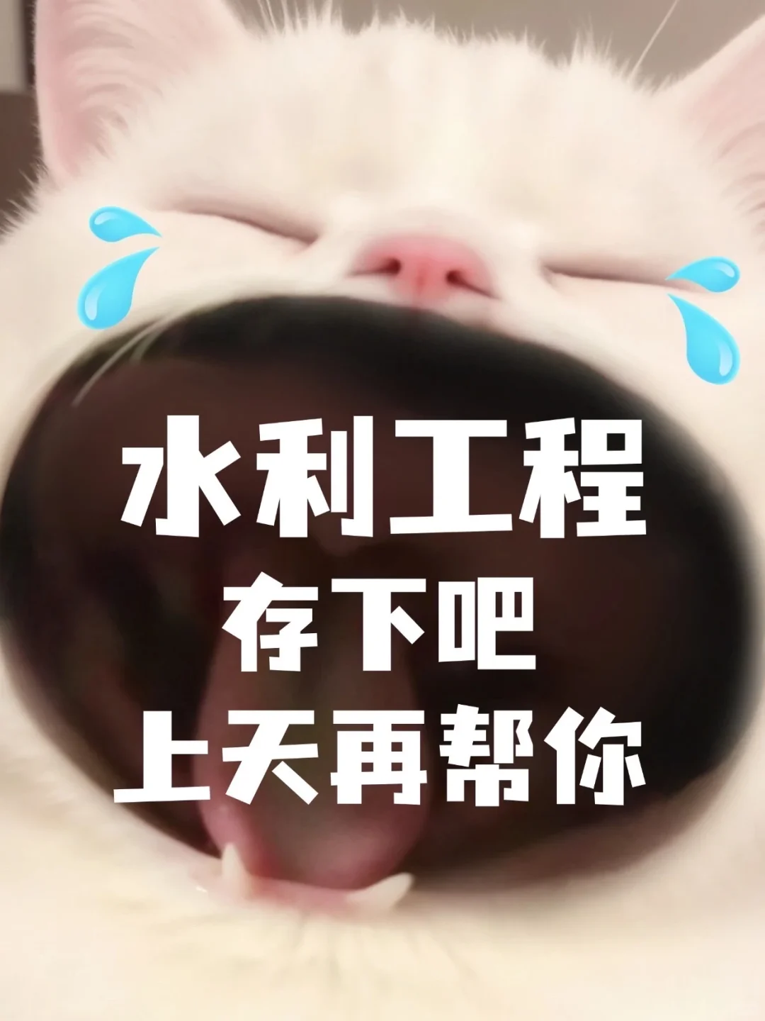 老天奶!水利工程专业真的赢麻了!