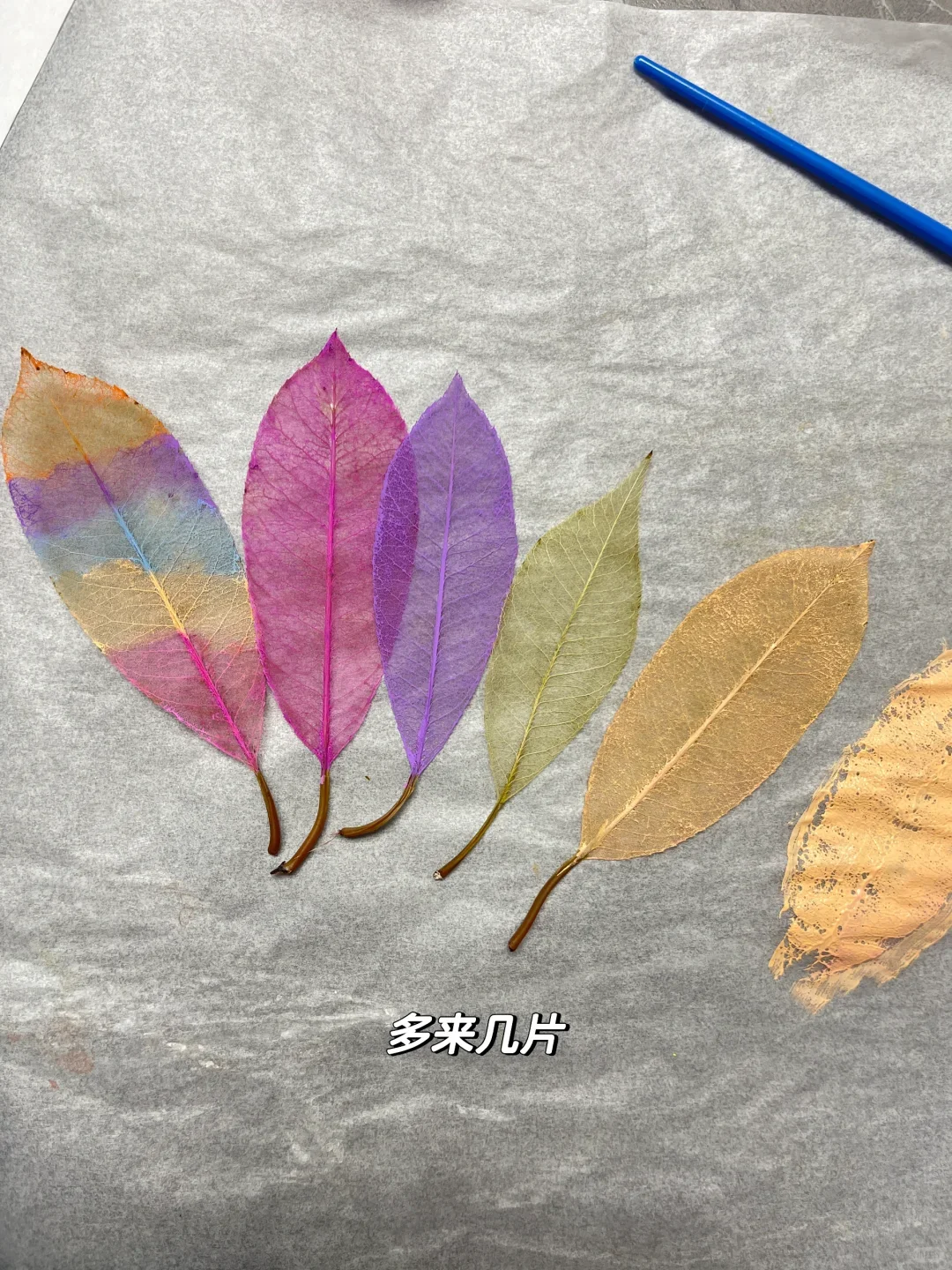 自然手工——零失败制作叶脉书签