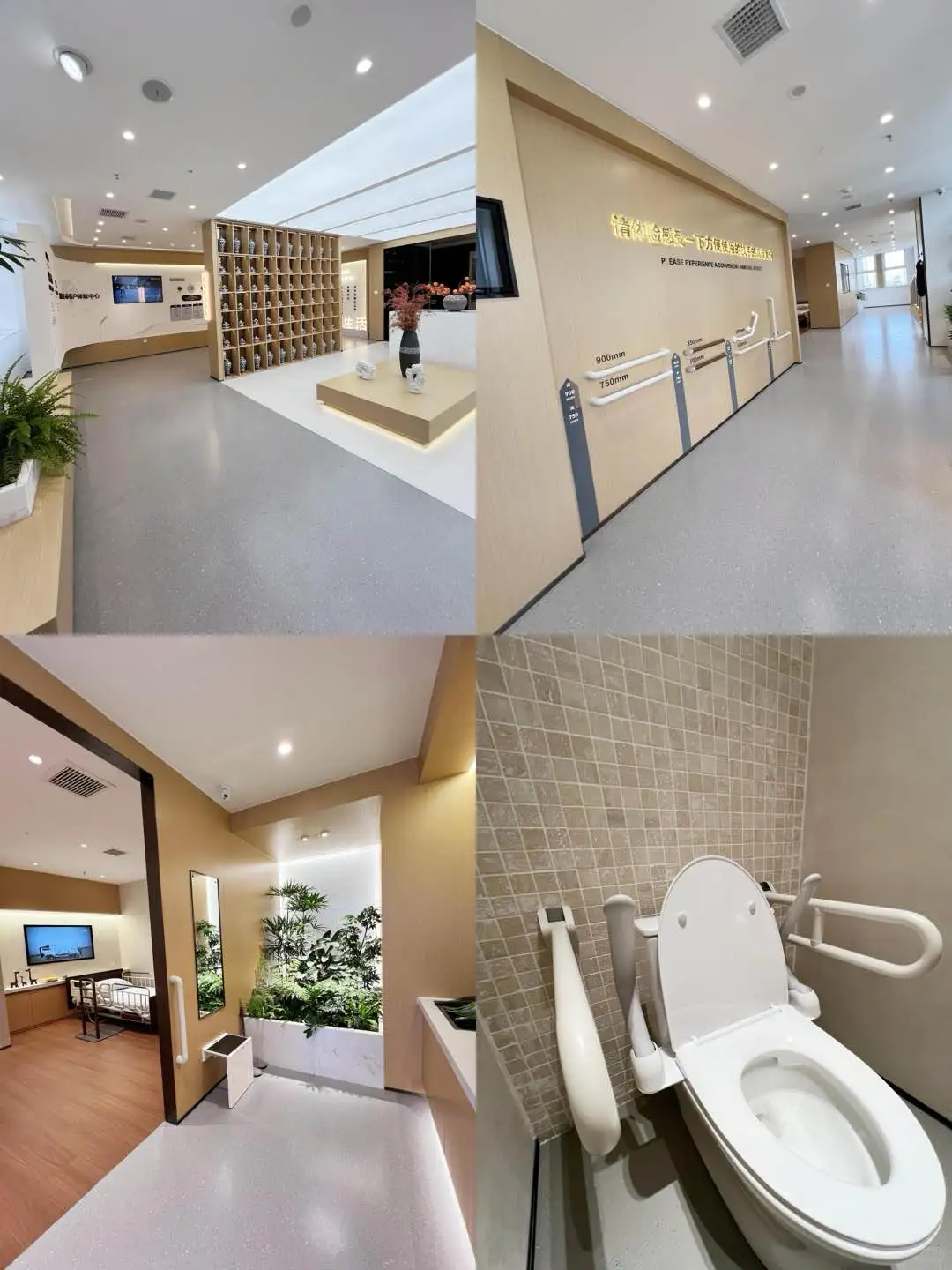 送给家里老人贴心的礼物