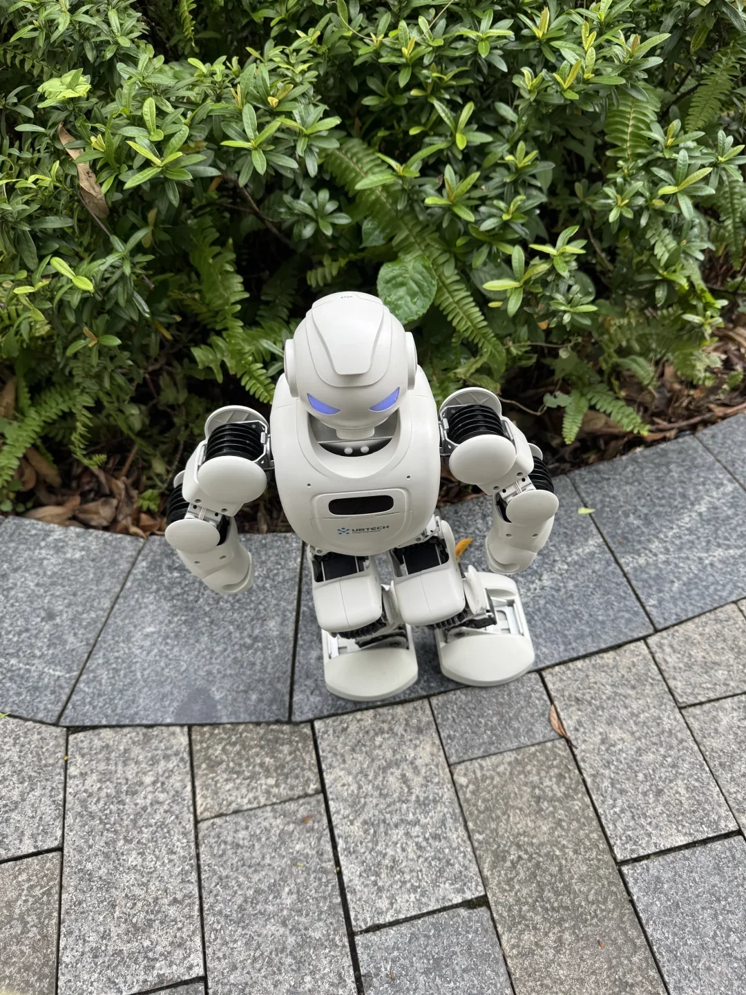 “陪娃神器”——一个会自己干活的玩伴真香