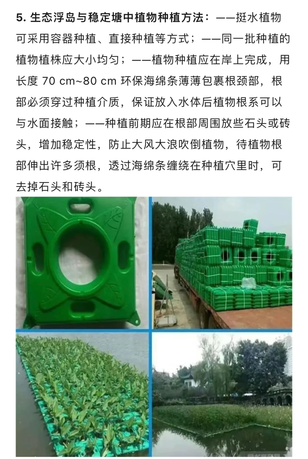 水生态修复植物种植方法与养护技术…