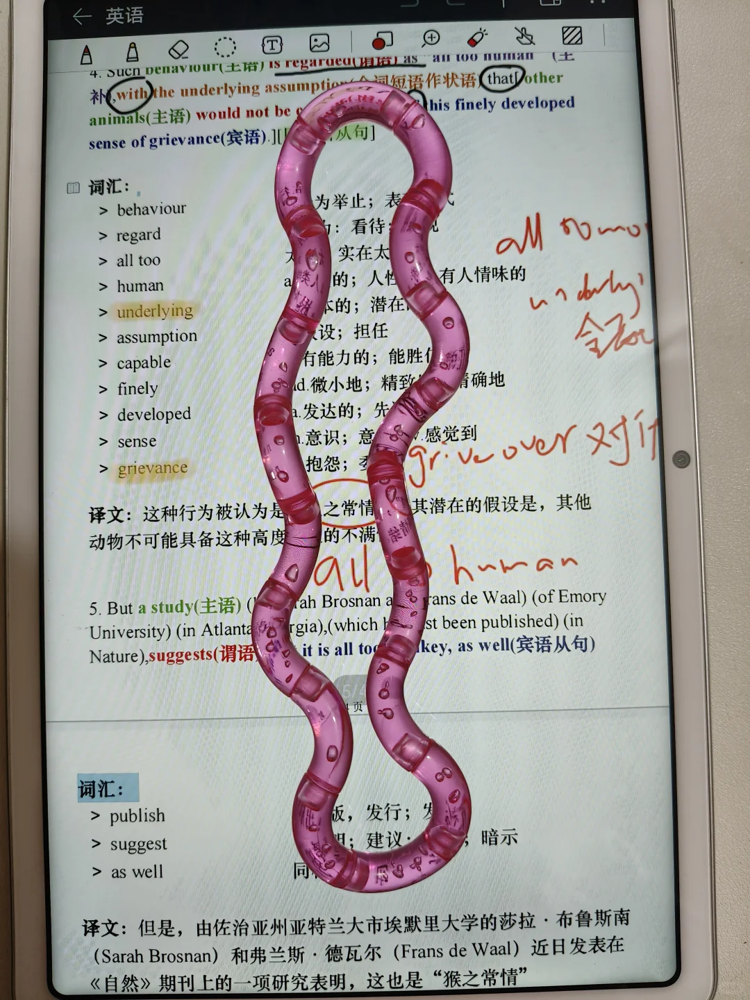 当我9.9跟风买了全网爆火的解压玩具扭扭乐