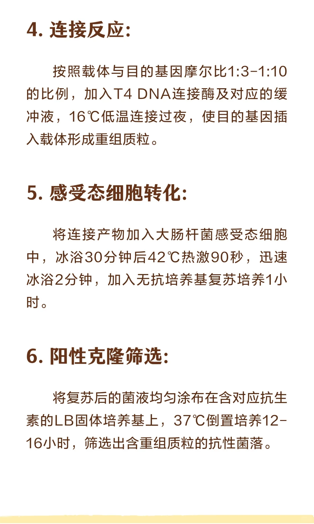 AAV质粒构建流程