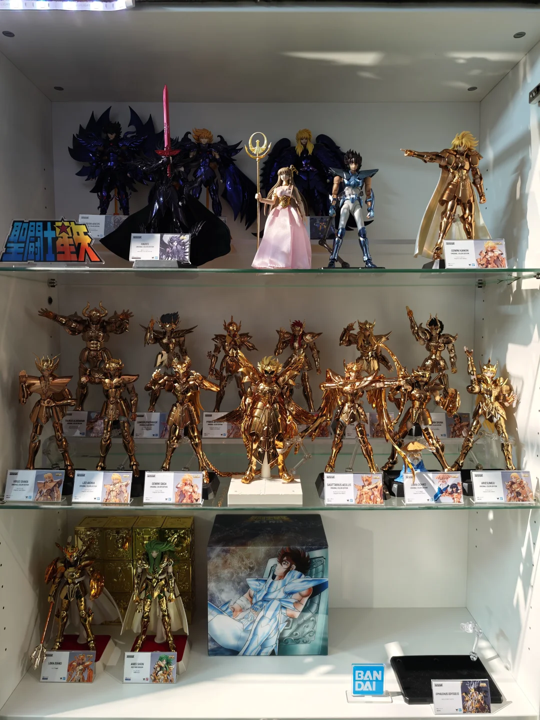 收藏15年的成果 190+圣衣神话爆柜！！！