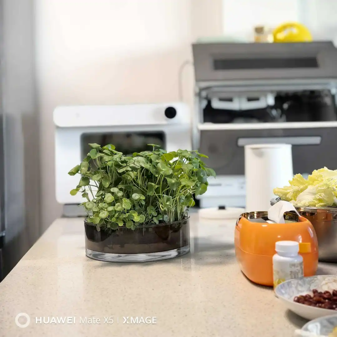 绝美加厚玻璃花瓶?我的桌面小森林