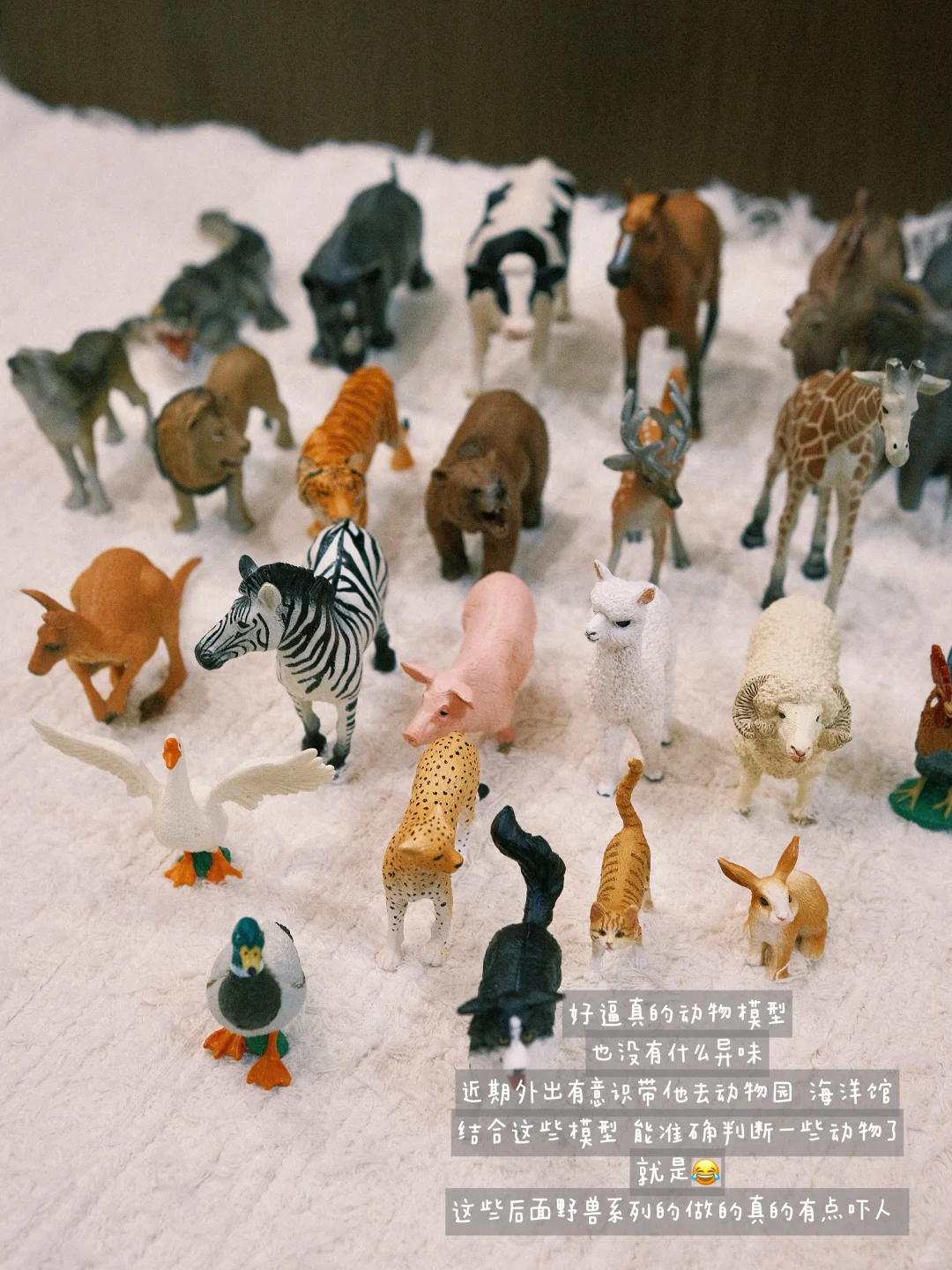 1岁➕玩具分享 | 也曾淋过雨 也能为别人撑☔