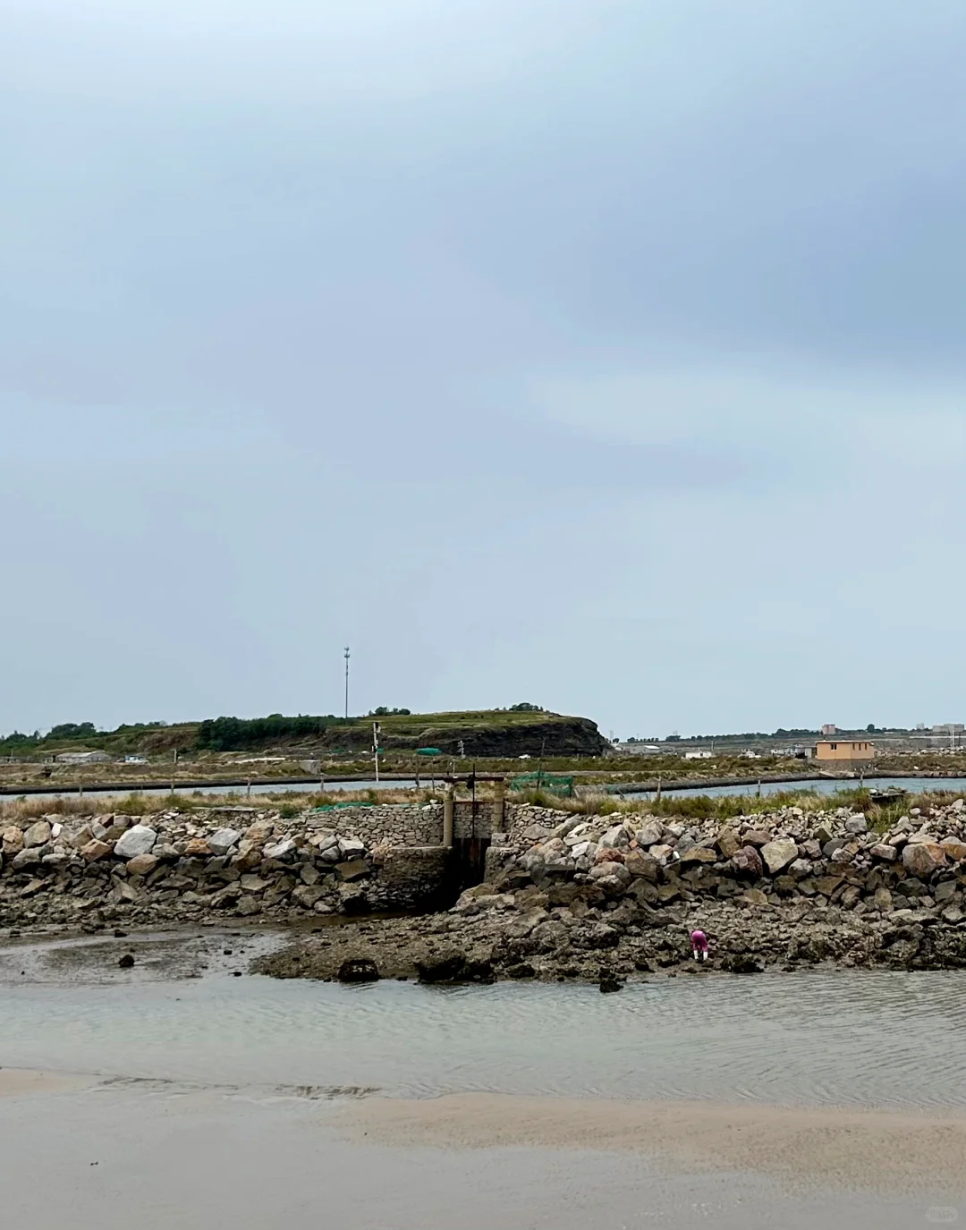 ✨ 大连海参人工养殖基地