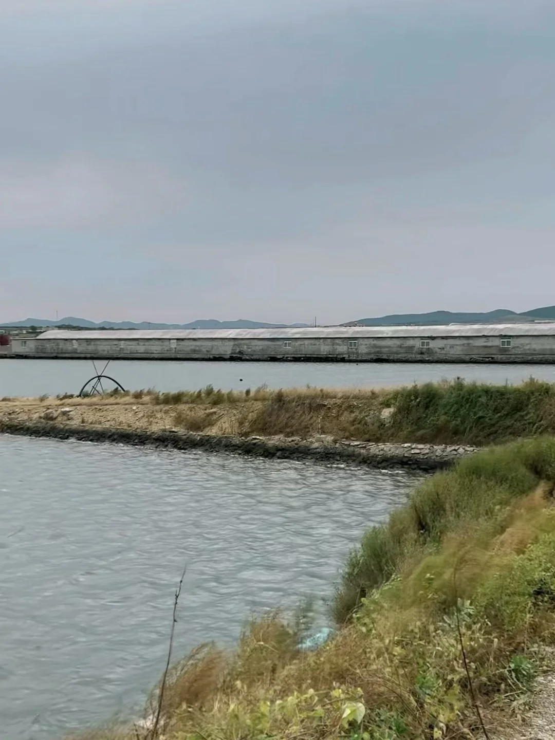 ✨ 大连海参人工养殖基地