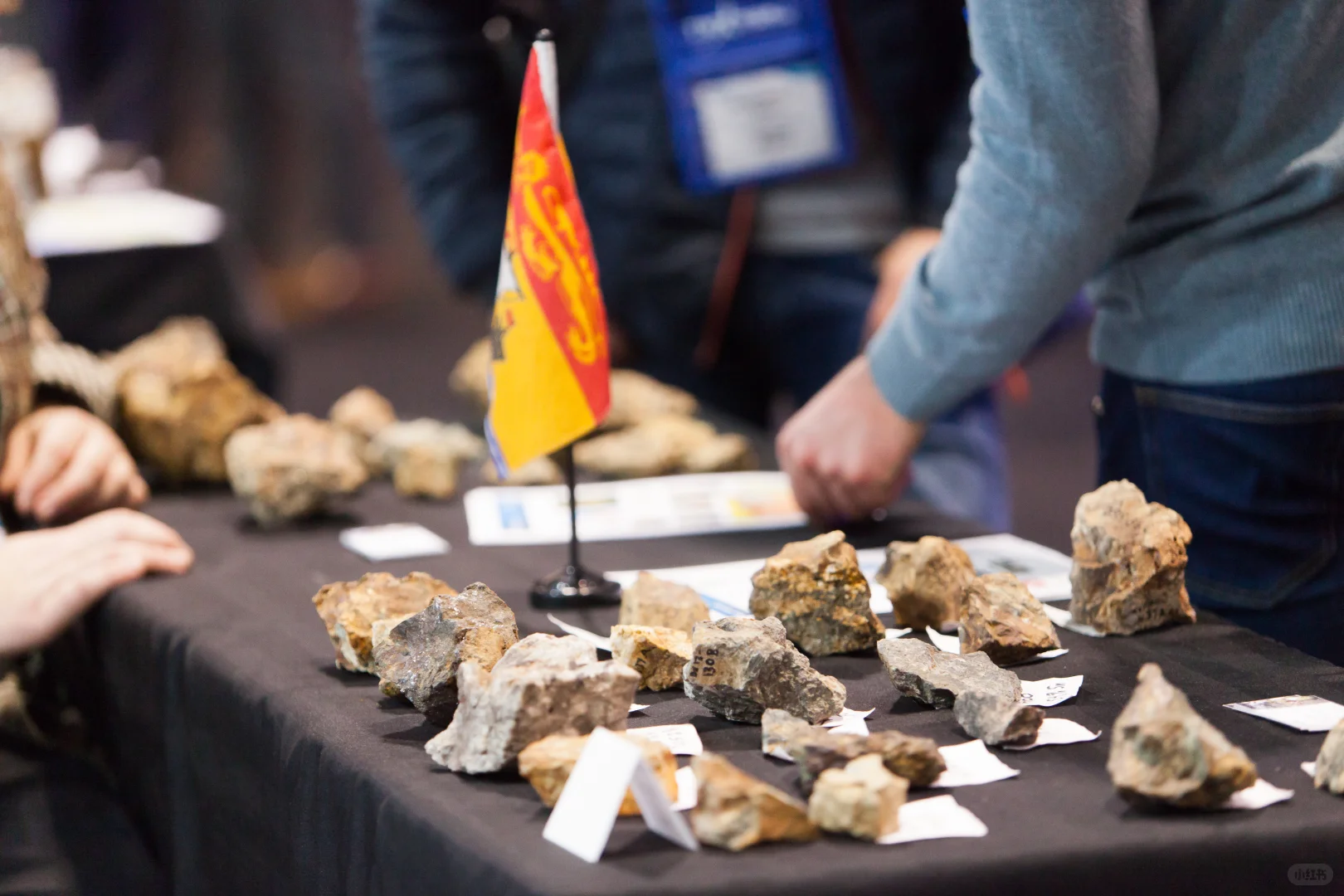 2026年美国西部国际矿业展览会CMA