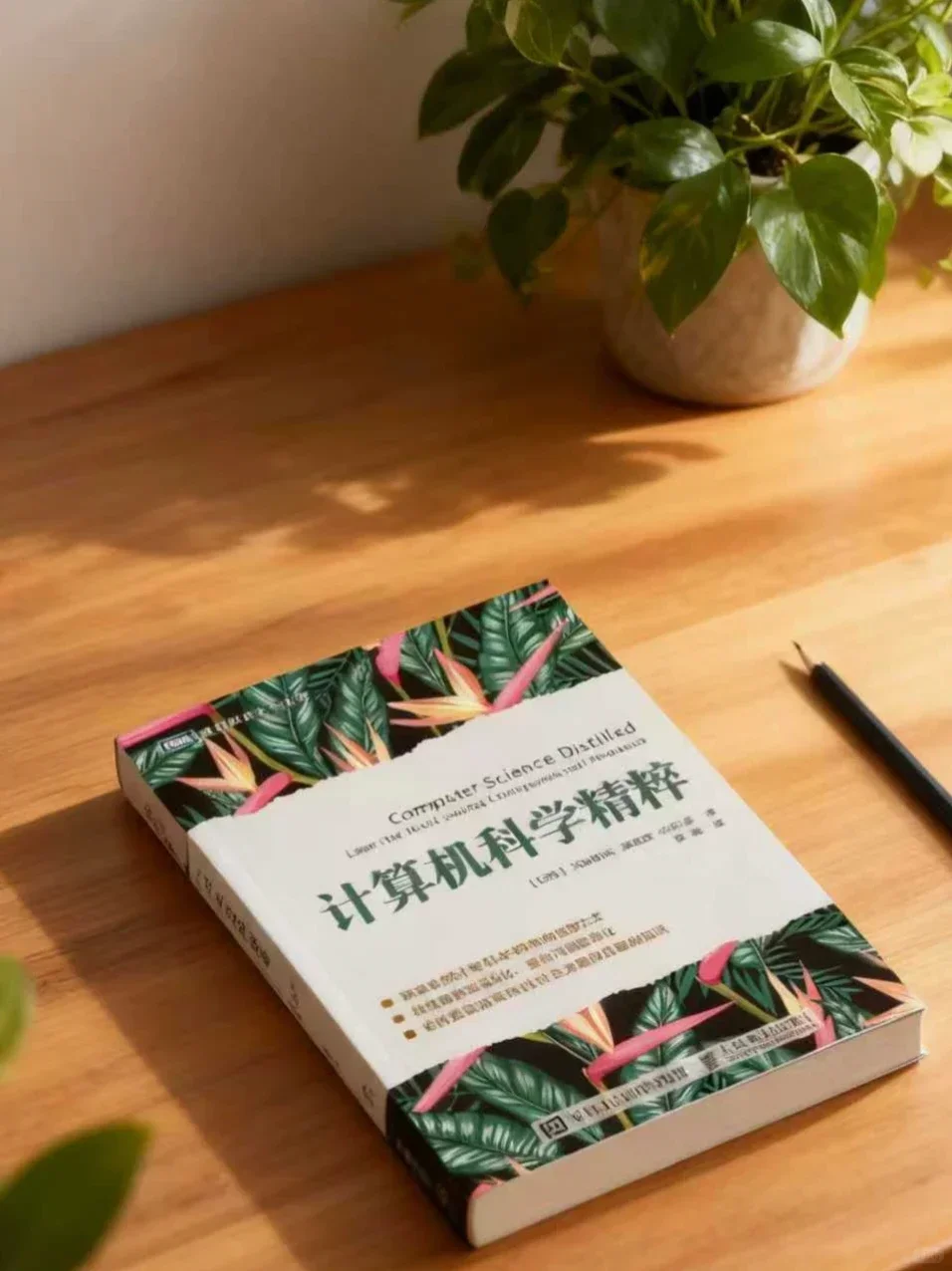 中学生也能看得懂的计算机书