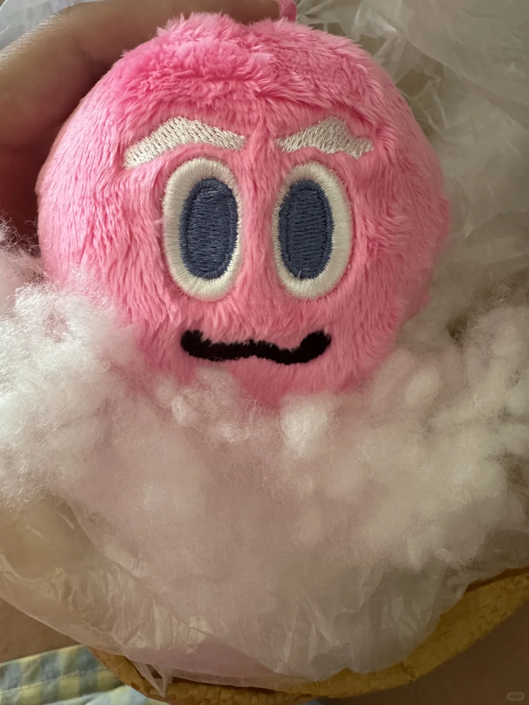 粉球到手 天下我有