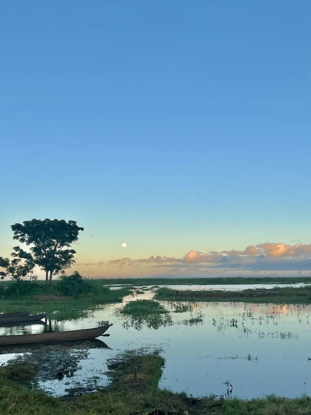入行两年，生态保护的理想和痛苦的现实