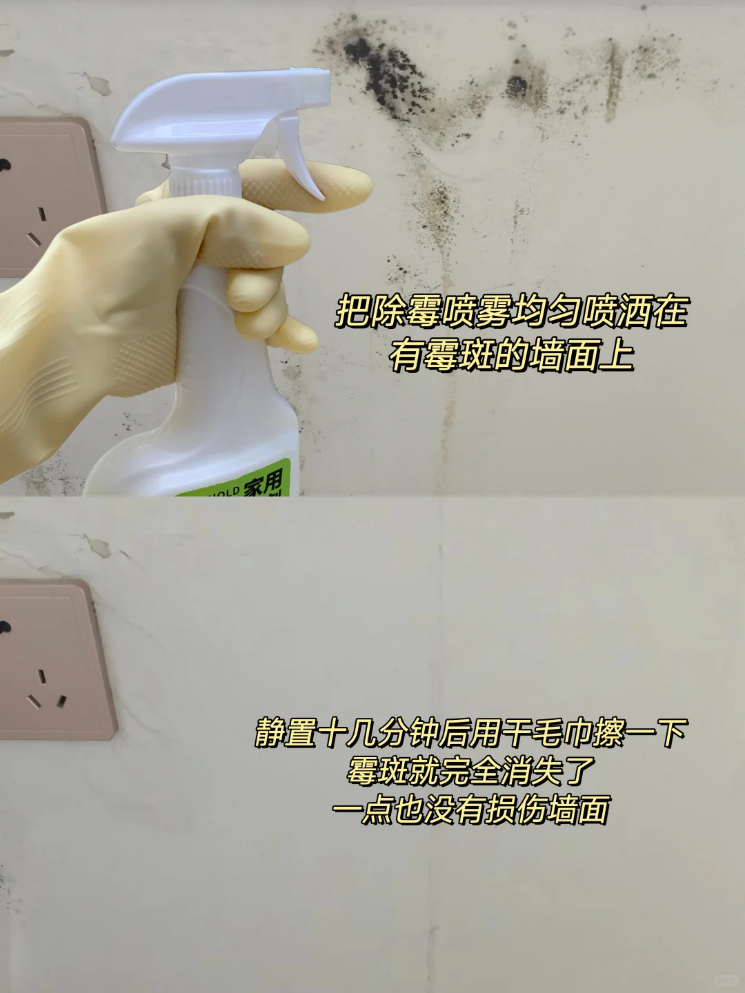 北京洪水墙面泡发霉了！！