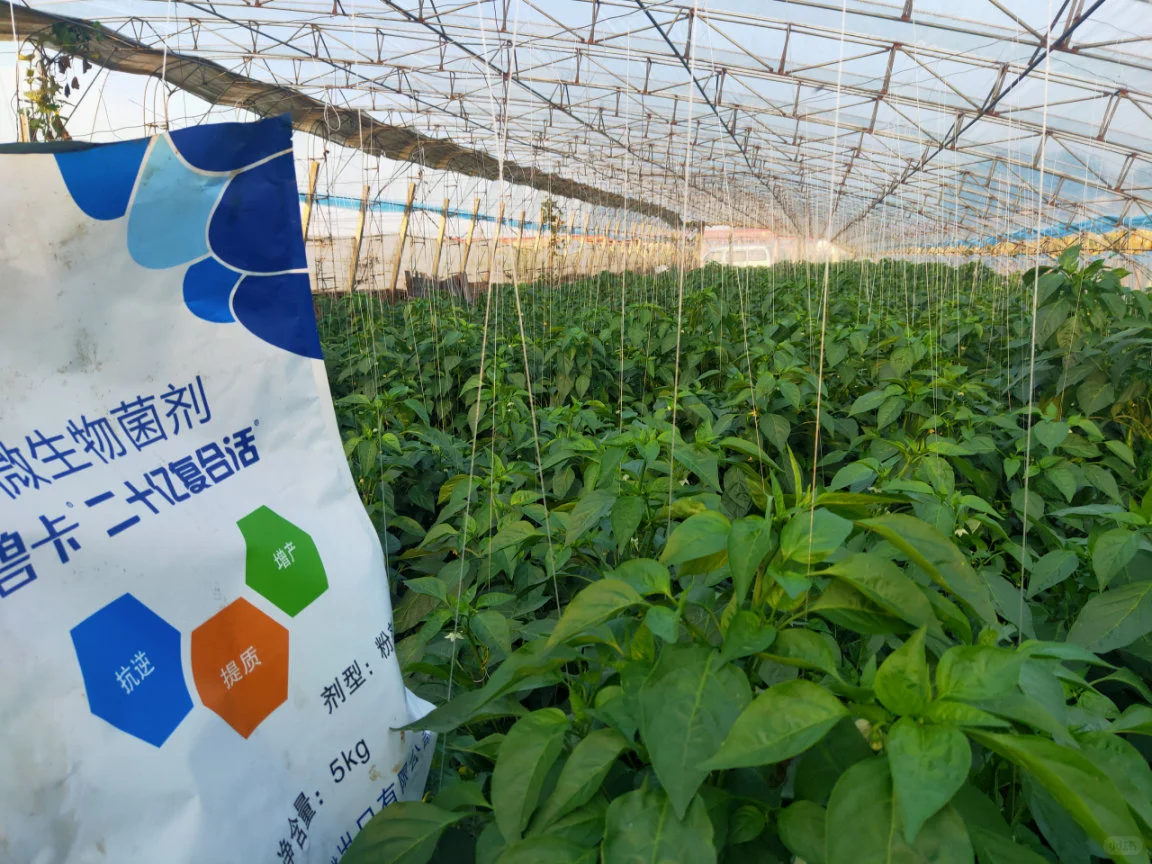 微生物菌剂为何能修复土壤？