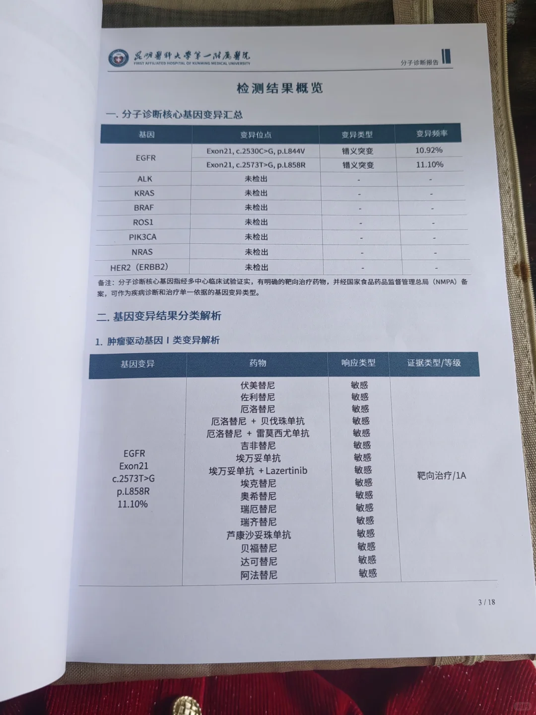 基因检测结果出来了