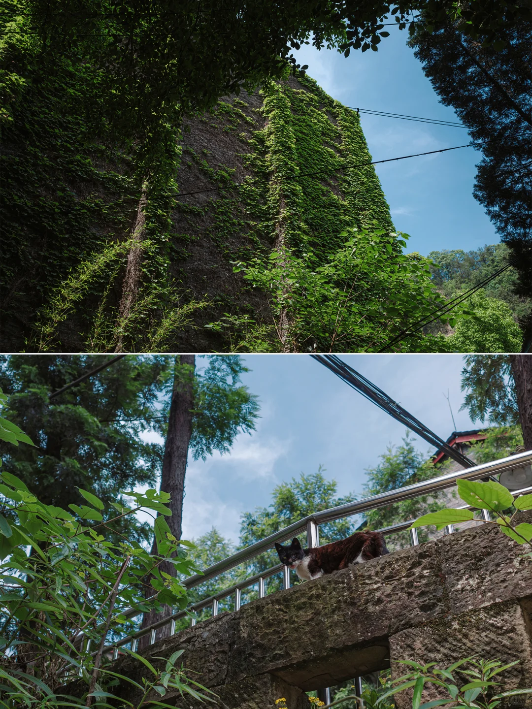 |川仪系列|川仪一厂