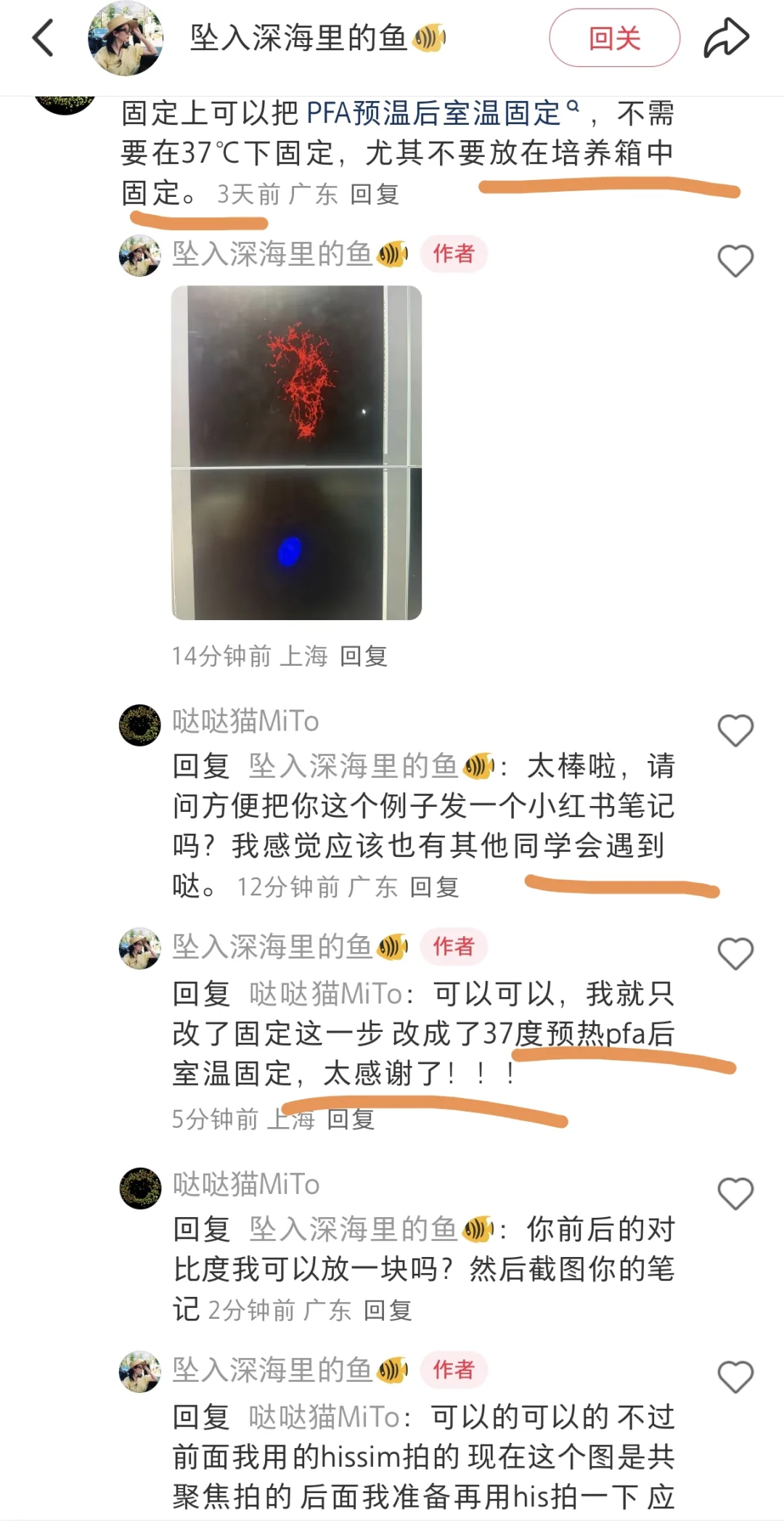 线粒体外膜蛋白TOM20免疫染色固定注意事项