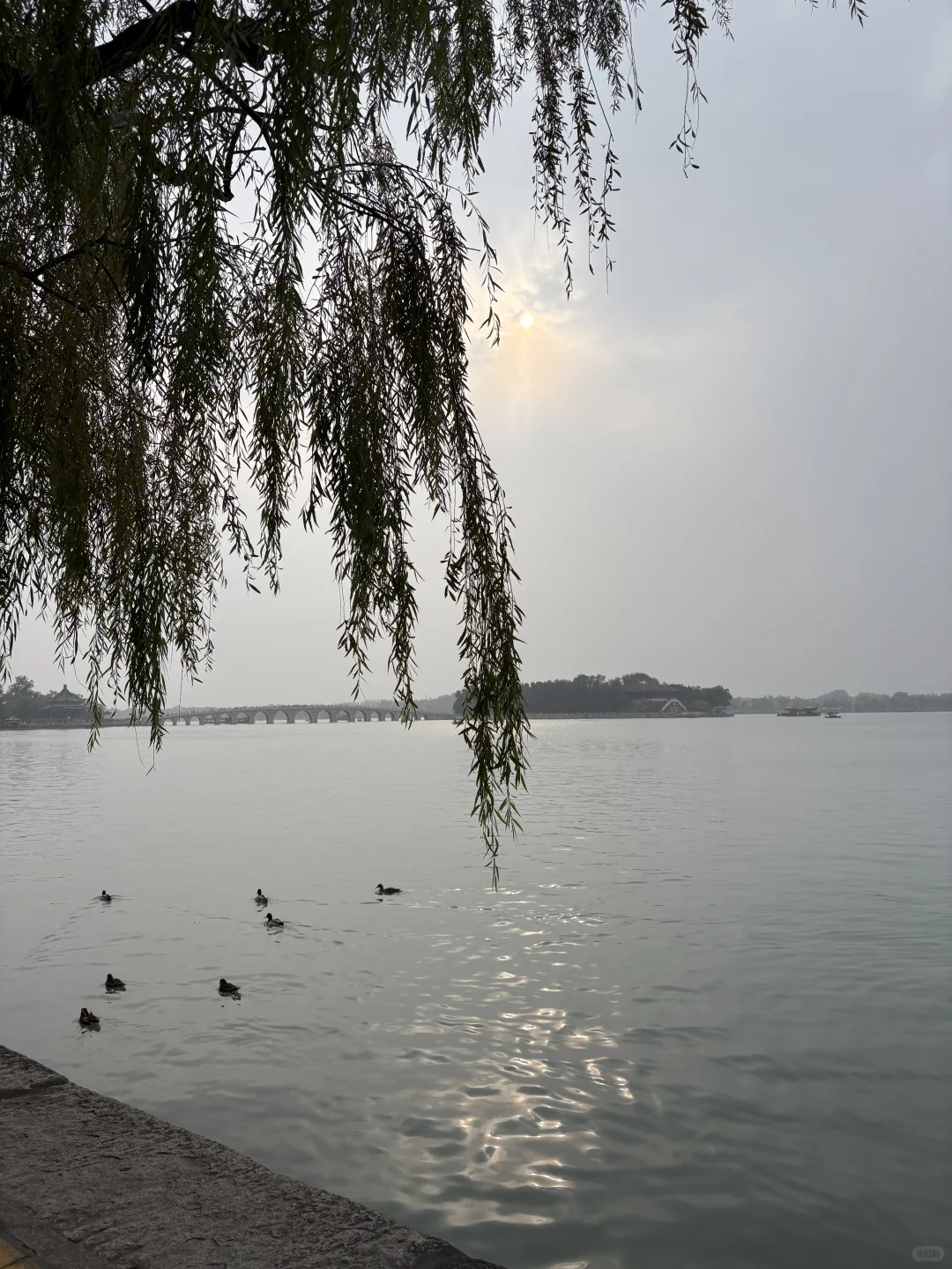 当你在阴天带一堆奇怪设备去颐和园