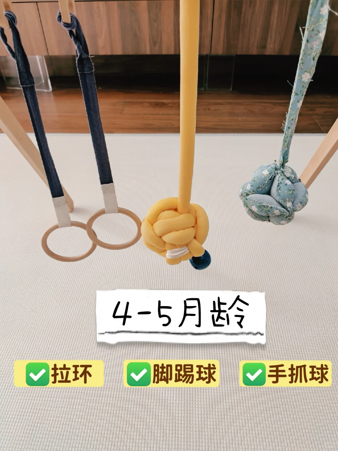 小月龄蒙氏玩具（精华版）