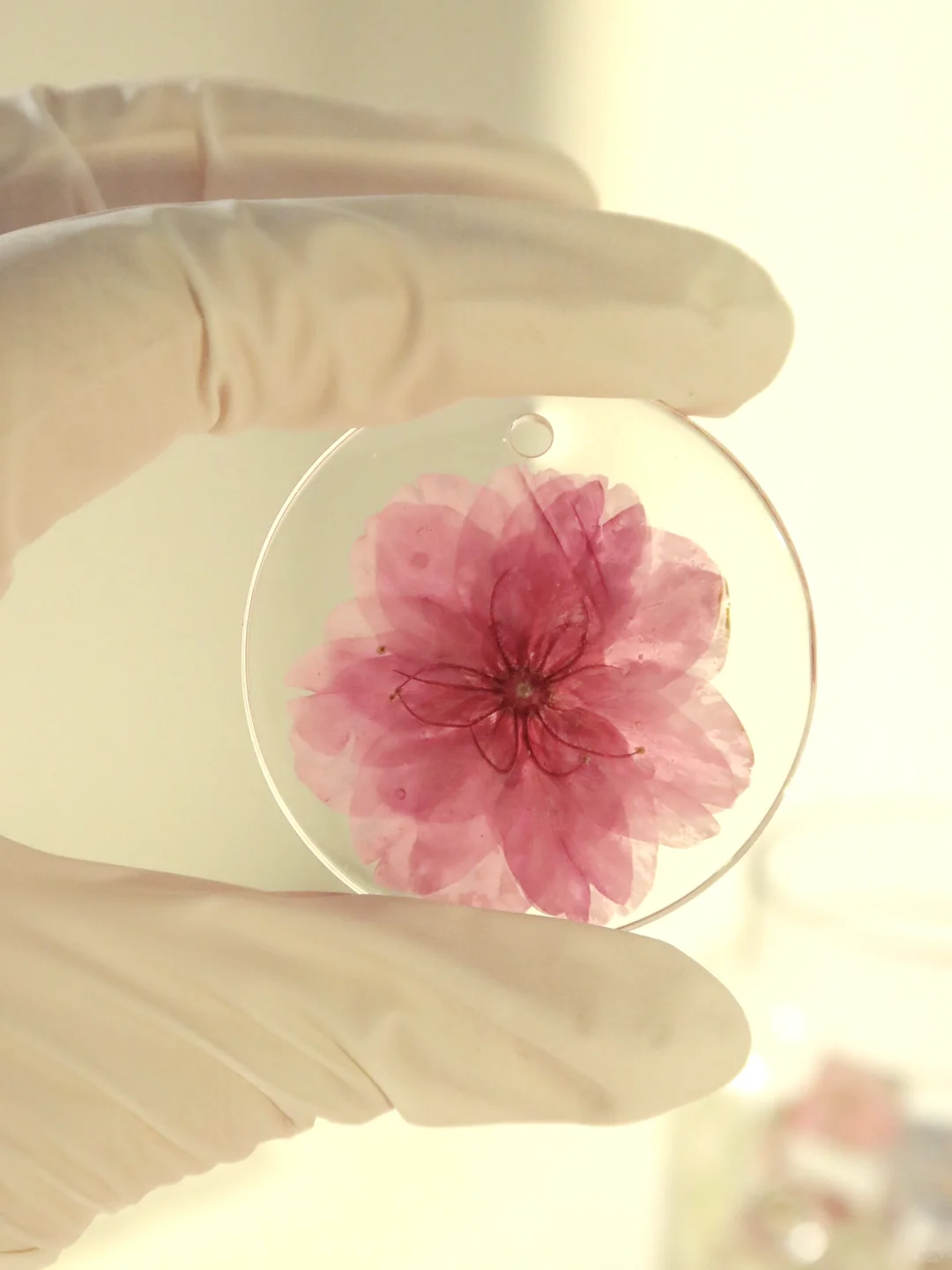 “滴胶樱花”?「留住春天」