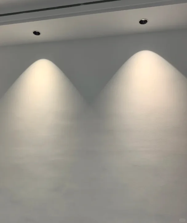 大家筒灯射灯灯带轨道插座都买的什么呢