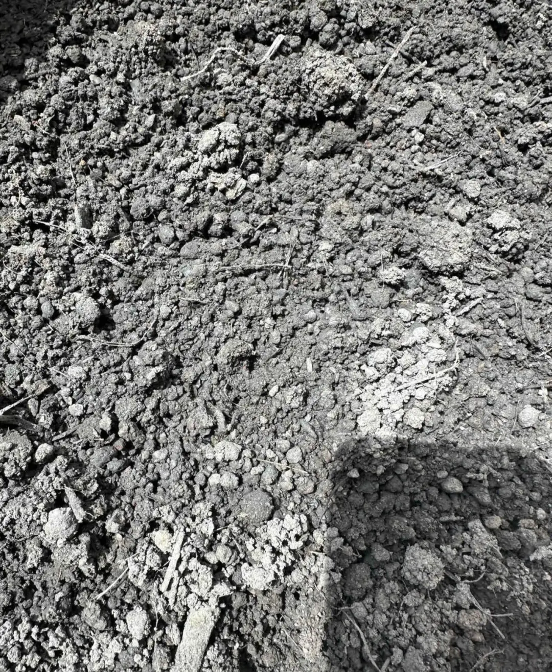 再说毒营养土和工业废土，看图学鉴别